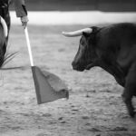 Black and white image of a matador with bull